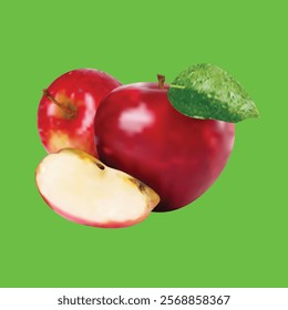 Realistic and Detailed Vector Fruits Apple. Two whole apples, with leaves and just the stalk. There are pieces of apple that can be eaten immediately. Great for presentation elements, sticker making, 