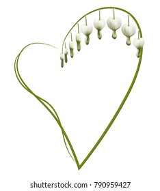 Realistic Dicentra, heart frame. Symbol of love and marriage.