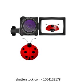 realistic digital video camera and ladybug on white background. Vector, Illustration