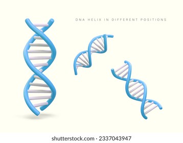 Realistic DNA helix. Color section of long code, view from different sides. Dynamics, development, reproduction. Illustration for educational, scientific sites, applications