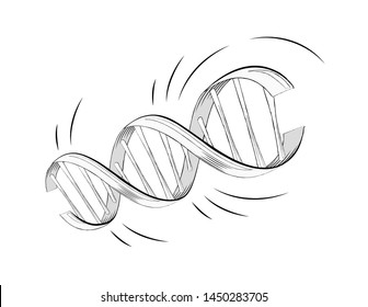 Realistic dna helix molecule. Vector spiral genetic structure for chemistry and biology design. Gene medical technology.