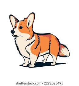 Realistic dog breed Corgi, on a white background - Vector illustration
