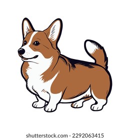 Realistic dog breed Corgi, on a white background - Vector illustration