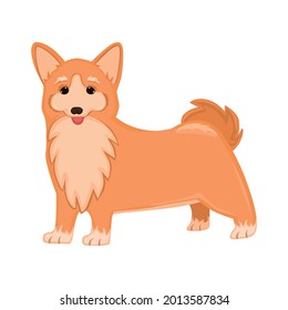 Realistic dog Corgi breed on a white background - Vector illustration