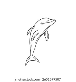 Realistic dolphin drawing in black isolated on white background, Hand drawn vector sketch illustration in doodle engraved vintage line art style. Marine sea animal design. Black and white vintage art