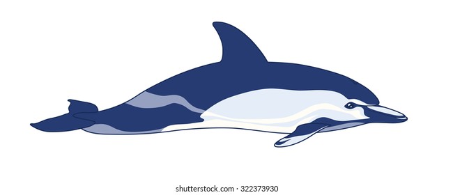 Realistic Dolphin Isolated on a White Background. Vector Illustration of Dolphin for your design and journal articles. Marine Mammal. Oceanic Animal. Delphinus Capensis in Simple Realistic Style.