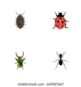 Realistic Dor, Ant, Ladybird And Other Vector Elements. Set Of Bug Realistic Symbols Also Includes Bug, Emmet, Pismire Objects.
