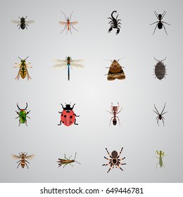 Realistic Dor, Emmet, Poisonous And Other Vector Elements. Set Of Bug Realistic Symbols Also Includes Damselfly, Arachnid, Emmet Objects.
