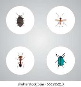 Realistic Dor, Gnat, Bug And Other Vector Elements. Set Of Insect Realistic Symbols Also Includes Dor, Blue, Emmet Objects.