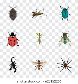 Realistic Dor, Poisonous, Arachnid And Other Vector Elements. Set Of Bug Realistic Symbols Also Includes Blue, Poisonous, Scorpion Objects.