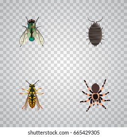 Realistic Dor, Tarantula, Bee And Other Vector Elements. Set Of Insect Realistic Symbols Also Includes Arachnid, Bee, Tarantula Objects.