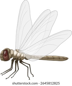 Vetor de libélula realista com asas transparentes, detalhes intrincados e cores neutras. Perfeito para fins educativos e decorativos
