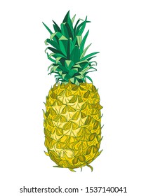 Realistic drawing of colorful pineapple isolated on white background. Exotic tropical fruit line art. Hand drawn vector pineapple illustration. Watercolor style. Icon, label, logo design element.