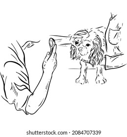 Realistic drawing of a dog on examination sketch vector illustration