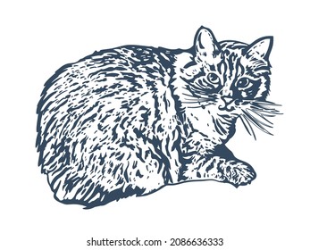 Realistic drawing of a domestic cat. Pen and ink sketch. Vector illustration.