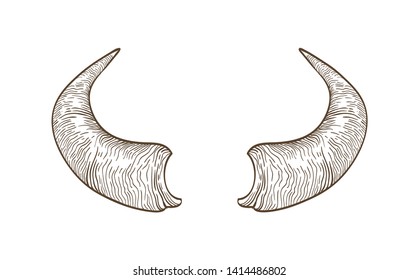 Realistic drawing of horns of cow, bull, bison, buffalo or other bovine animal hand drawn with contour lines on white background. Monochrome vector illustration hand drawn in elegant vintage style.