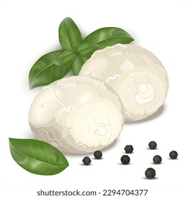 Realistic drawing of Italian mozzarella cheese decorated with basil leaves and black pepper. Vector illustration isolated  on white background for label, poster, icon, packaging.