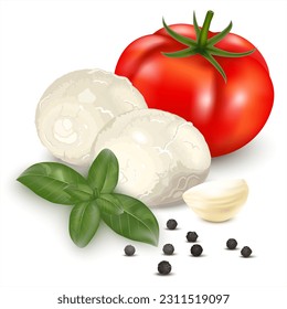 Realistic drawing of Italian mozzarella cheese decorated with basil leaves, garlic and tomato whole. Vector illustration isolated on white background for label, poster, icon, packaging.