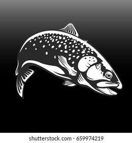 Realistic drawing of the rainbow trout jumping out water.Sketch isolated on white background. Concept art for horoscope, tattoo or colouring book.