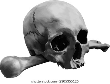 realistic drawing of skull with bones