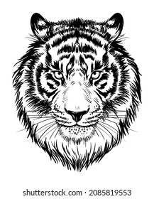 Realistic drawn face of a tiger, vector illustration. Muzzle, portrait of a tiger - black and white graphic, print, poster