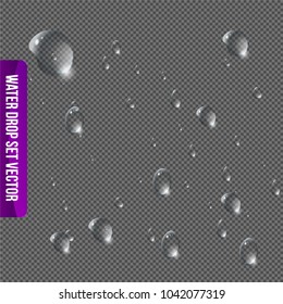 Realistic drops pure. Isolated vector