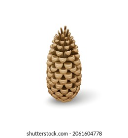 Realistic Dry Brown Pine Cone. Single Decorative Woody Fruit of a Conifer Tree. Design Element for Christmas Themes, or Postcards on White