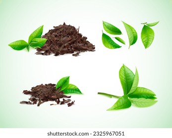 Realistic dry tea. Heap of dried black leaves and herbal bunch green leaf growing plant, foliage pile nature caffeine products chinese puer leafs exact vector illustration of heap natural drink