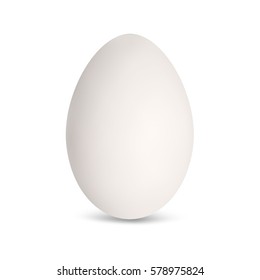 Realistic duck egg. Vector illustration.