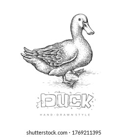 realistic duck vector with abstract hand drawn style, black and white animal illustration