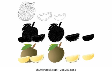 Realistic durian fruit vector set with whole and sliced pieces. Includes black and white, silhouette, and colored versions. Perfect for food, tropical, and exotic fruit designs