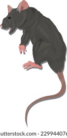 Realistic Dying Vector Rat with Drop Shadow