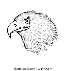 Cabeza de águila realista. Ilustración vectorial en blanco y negro.