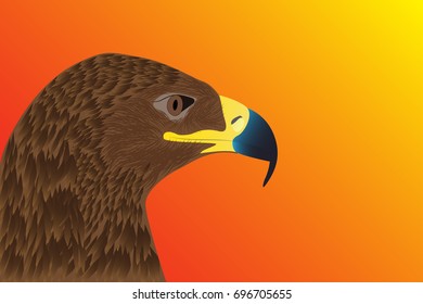 Realistic eagle head on a black background. Vector illustration