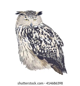 Realistic Eagle owl (bubo bubo) on white background