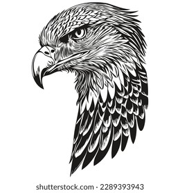 Realistic eagle vector, hand drawn animal illustration bird
