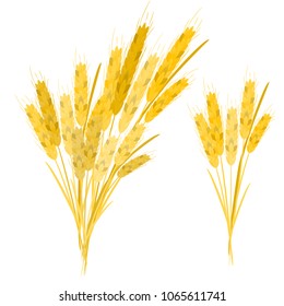 Realistic ear of wheat on a white background. Vector set. A set of ears.