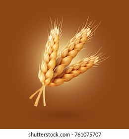 Realistic ear of wheat Vector illustration