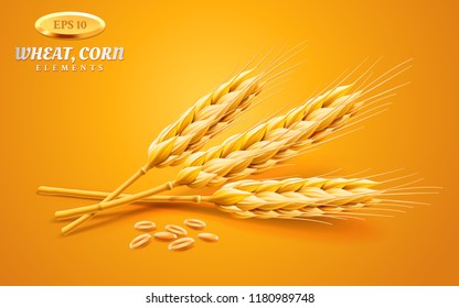 Realistic ear of wheat whole or bunch of 3d oat stems with grains, volumetric spikelet or spica of barley, ripe cereal plant. Crop or harvest, farming, staple organic food, agriculture and cultivation