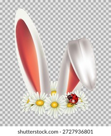 Orejas de conejo de Pascua realistas con una corona de margaritas y un elemento aislado mariquita sobre un fondo transparente