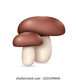 Realistic edible mushroom. Porcini isolated on white background. Mushroom plants, forest seasonal meal. Vegan protein ingredient for cooking and nutrition. Vector illustration