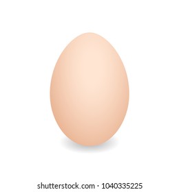 Realistic egg. Brown chicken egg. Vector 3D egg with shadows on white background. Easter egg, food concept. EPS10