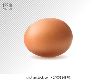 Realistic egg icon, isolated on transparent background. Vector illustration, 3d