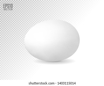 Realistic egg icon, isolated on transparent background. Vector illustration, 3d