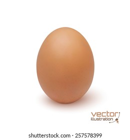 Realistic egg icon, isolated on white background. Vector illustration