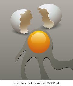 Realistic egg shell broken.vector illustration