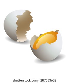 Realistic egg shell broken.vector illustration