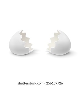 Realistic Egg Shell Icon, Isolated On White Background. Vector Illustration