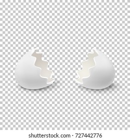 Realistic egg shell icon, isolated on transparent background. Vector illustration.