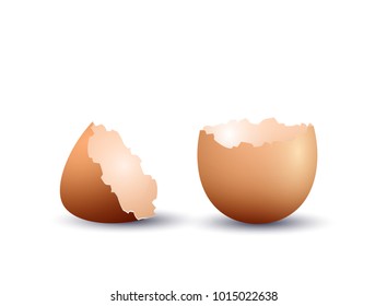 Realistic egg shell, isolated on white background. Vector illustration